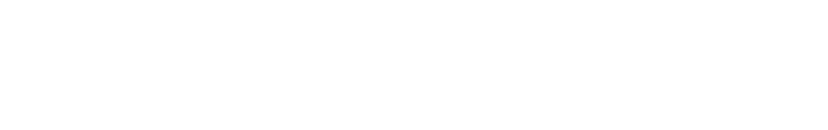 Pooya Pirayesh Luxury Real Estate